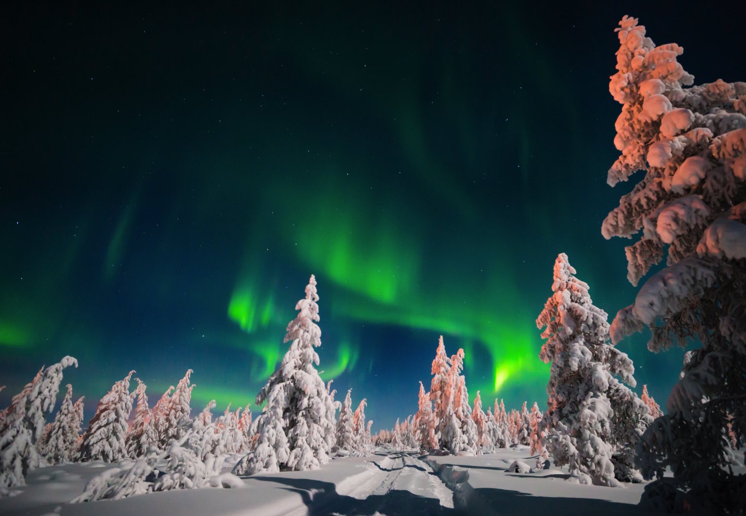 Aurores boreales dans la neige